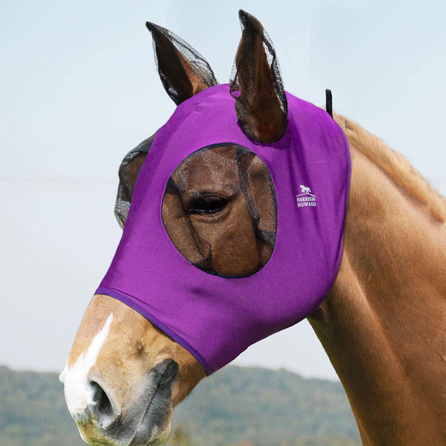 Harrison Howard Super Comfort Stretchy Fly Mask Large Eye Space with UV Protection Soft on Skin with Breathability-Amethyst