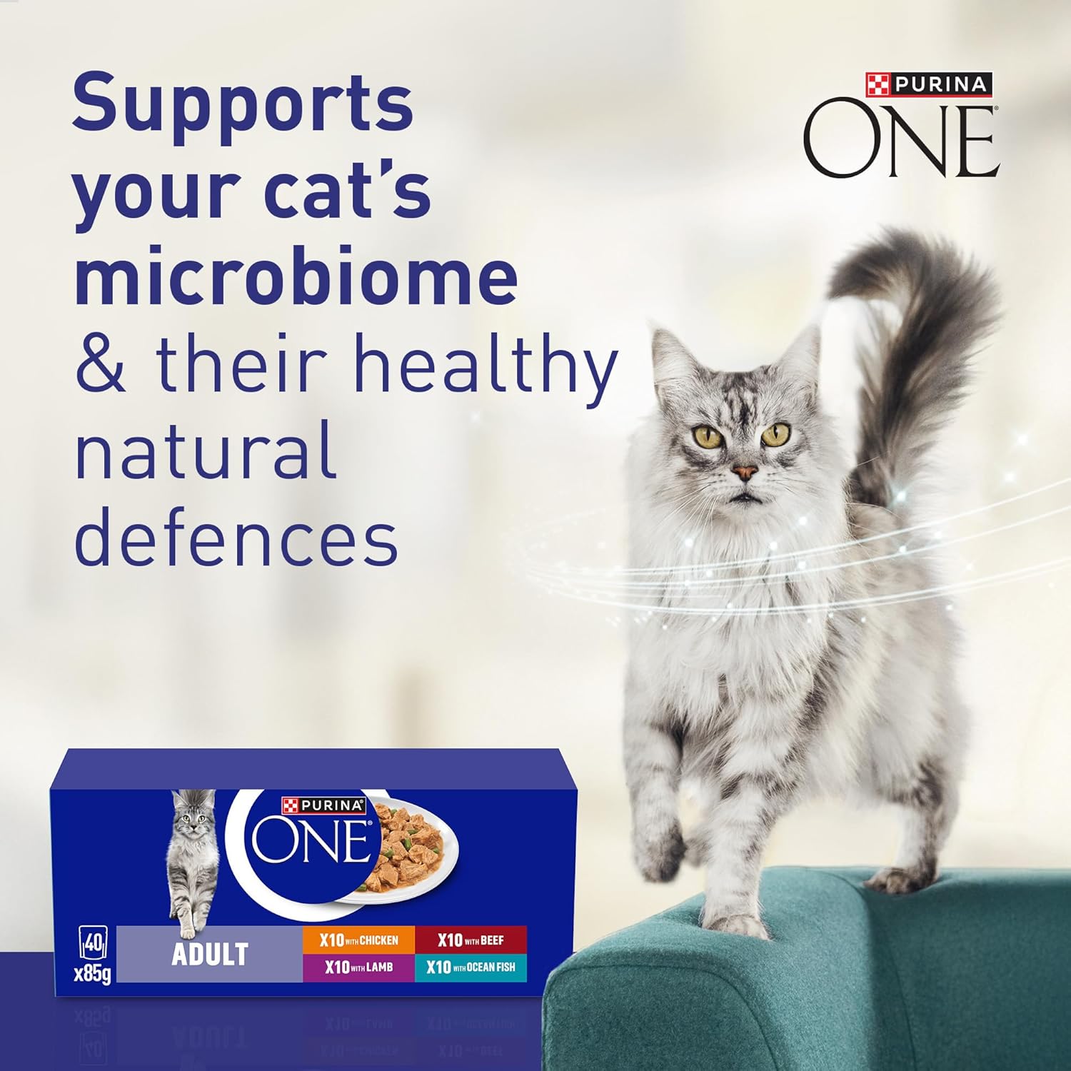 PURINA ONE Mini Fillets Ocean Fish and Lamb Adult Wet Cat Food 8x85g (Pack of 5) - Image 5