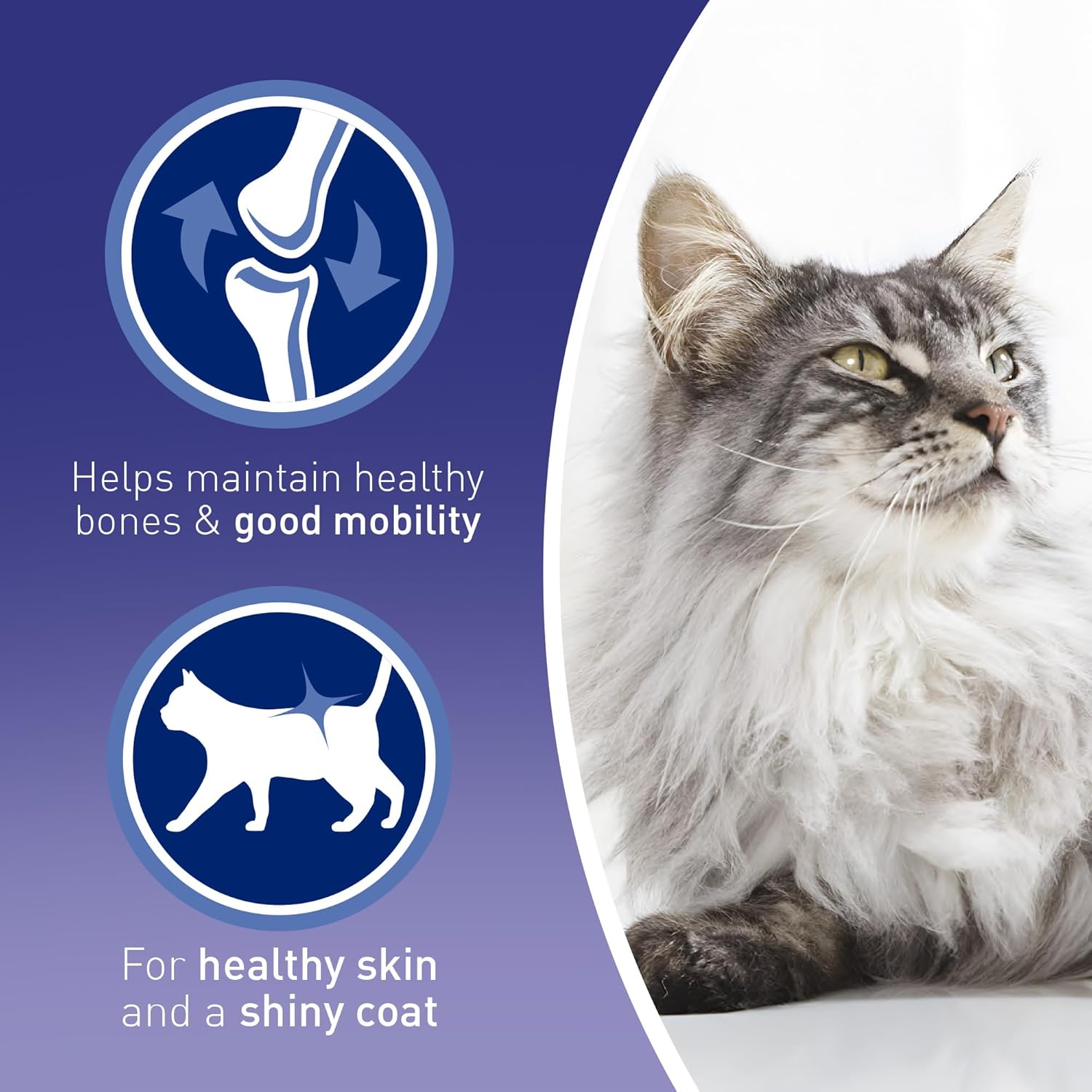 PURINA ONE Mini Fillets Ocean Fish and Lamb Adult Wet Cat Food 8x85g (Pack of 5) - Image 3