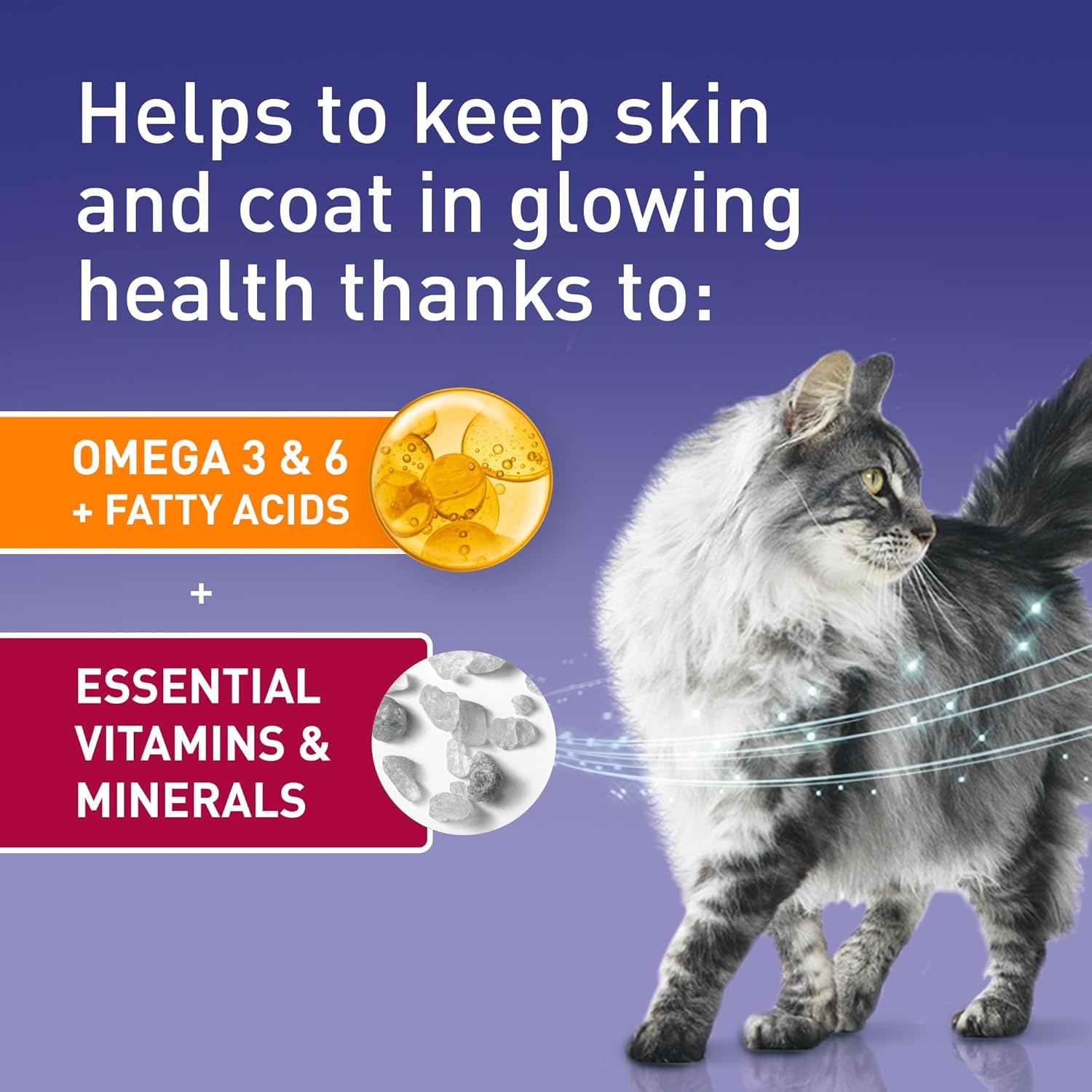 PURINA ONE Mini Fillets Ocean Fish and Lamb Adult Wet Cat Food 8x85g (Pack of 5) - Image 7