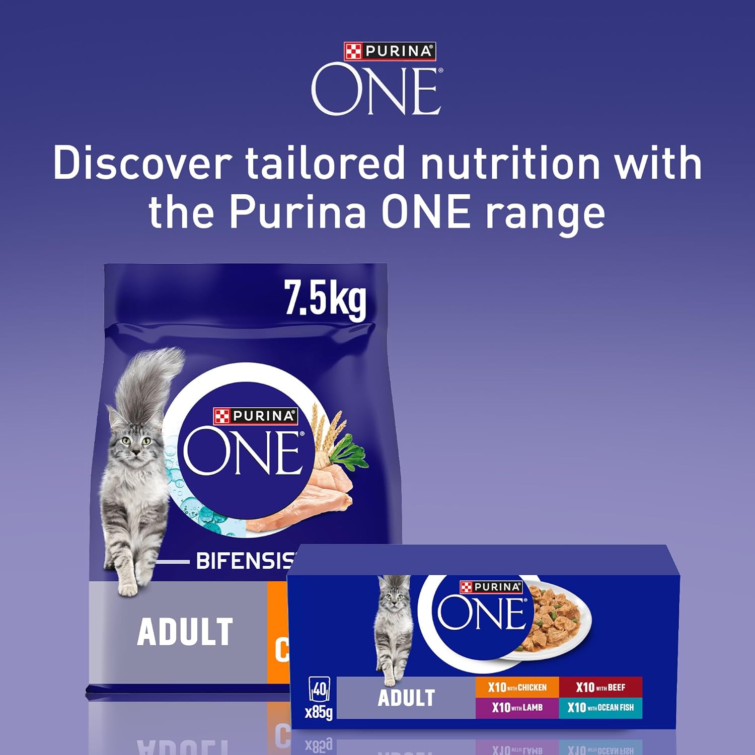 PURINA ONE Mini Fillets Ocean Fish and Lamb Adult Wet Cat Food 8x85g (Pack of 5)